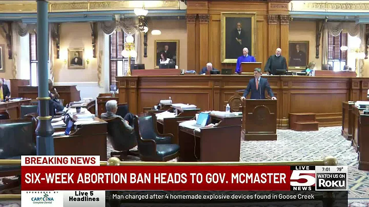 VIDEO: SC ready to renew abortion ban around 6 weeks of pregnancy after Senate vote