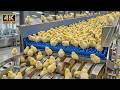 🔥 From Egg to Egg 🥚 | Inside the Ultimate Chicken Mega Factory Loop 😱🏭