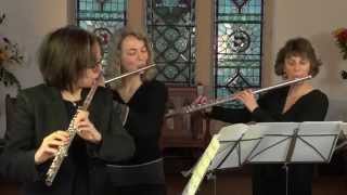 Raindrops - Ripples - Rainfall (for five flutes)