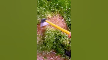 The process of weeding = Good tools can improve efficiency