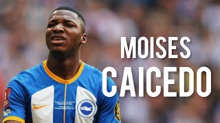 Moises Caicedo 22/23 - Insane Assists, Goals & Skills | HD