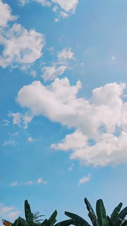 Langit Biru Yang Indah #awan  #awanbergerak #cinematic #shorts #TrikShorts #tutorial #youtubeshorts