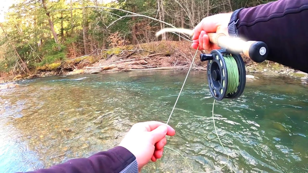 Creek Fishing With STREAMERS Winter Fly Fishing (BIG Browns) YouTube