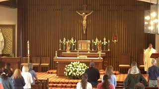 Daily Mass