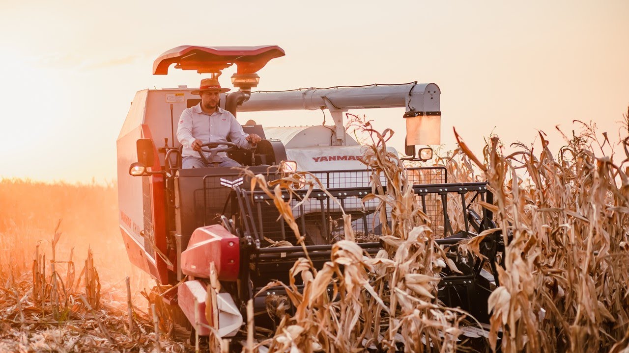 Matéria TVBE - Lançamento Colheitadeira YANMAR YH 880 na EXPOCAFÉ 2022