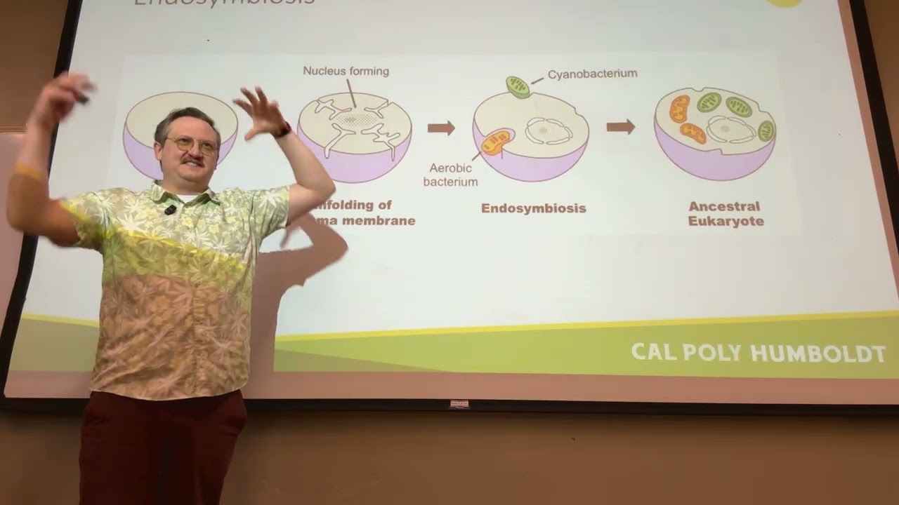 BIOL 105 Lecture 11 Spring 26