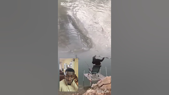 Ce Mec a pêché le plus gros poisson au monde. Incroyable #fishing #poisson #pecheur