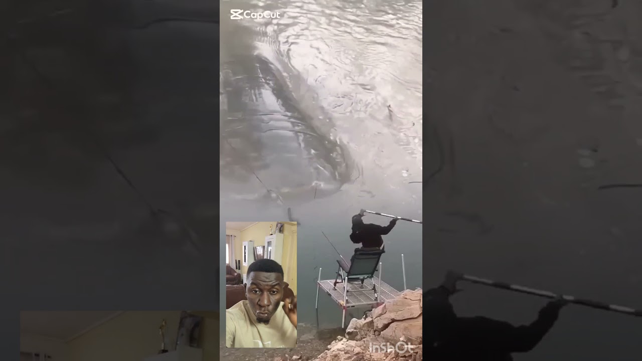 Ce Mec a pêché le plus gros poisson au monde. Incroyable 