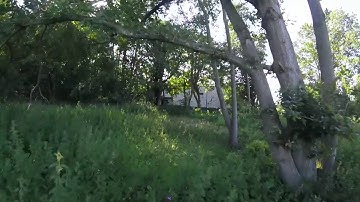 Wizard x220 FPV - A little dance with the trees