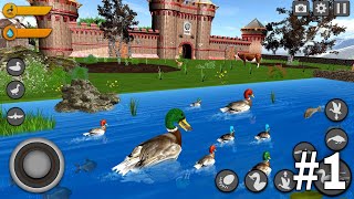 Duck Simulator - Birds Simulator | RKM Gaming | Duck Games | Duck Simulator | #1 screenshot 1