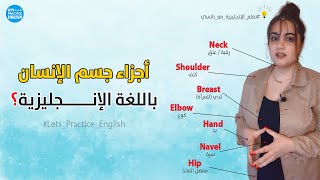 أجزاء جسم الإنسان باللغة الإنجليزية | الحلقة 2