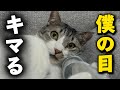誰にも相手にされなかった結果...
