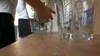 Pong Shot Hun23 062008