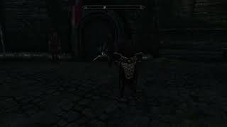 Weeby's Odd Skyrim Moments | Solitude Guards are spawning weird, it seems...