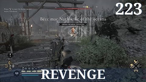 Revenge | Assassin