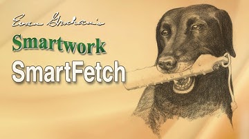 Smartwork SmartFetch: How to Prepare Your Retriever for Duck Season