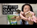 PINE LITTER Q&A AND UPDATE | SVEN AND ROBBIE