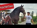 КАПИТАН БЛАК 🐎8 июня 2021 г.