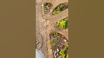 Âm thanh yêu thích khi câu lancer, làm 3 e trôi điên rồi 🥰#duchienfishing #caucathugian #fishing