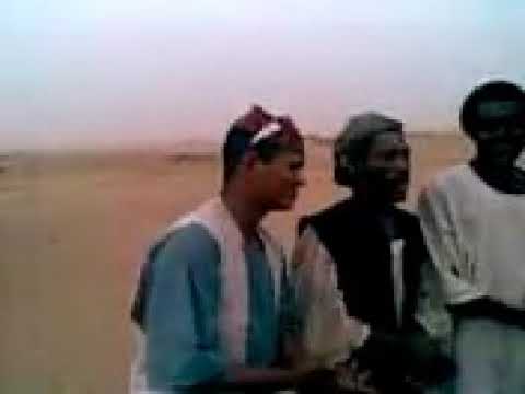 اجمل تراث كردفان يا حليل زمن اللواري يا قماري يجتمن في الضهاري ياقماري القمر البراري