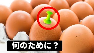 ランダム事実集：茹で卵の先にできるへこみの正体とは
