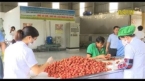 Mở rộng thị trường xuất khẩu Vải thiều