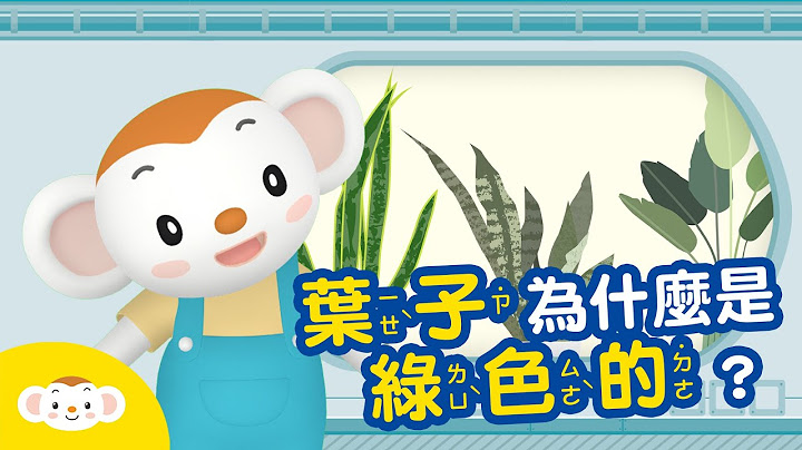 【生物小知識】葉子為什麼是綠色的？ #葉子 #葉綠素｜小行星樂樂TV - 天天要聞