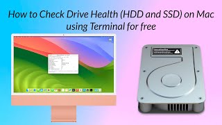 How to Check Drive Health (HDD and SSD) on Mac using Terminal for Free