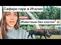 Уехали|Сафари парк| Стреза -где живут итальянские миллионеры|