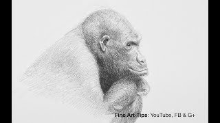 How to Draw a Gorilla - Narrated (Testing Staedtler Charcoal Pencils)