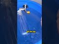 DIY Tap Closer in 5 Minutes! No More WATER OVERFLOW