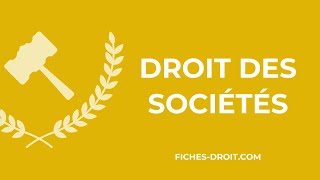 Cours de droit des sociétés (Introduction et notions clés)