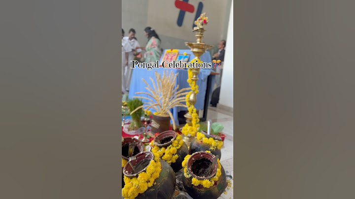 Hexa Pongal Celebrations🎊 #pongal #sankranthi #2025 #shorts #nimishamande