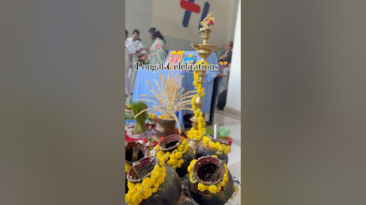 Hexa Pongal Celebrations🎊 #pongal #sankranthi #2025 #shorts #nimishamande