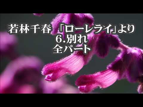 若林千春　「ローレライ」より　６．別れ(ムシデン)　全パート