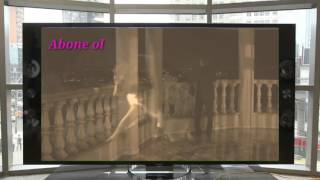 Kurtlar Vadisi Vatan. 1 Tanitim