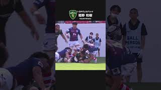 12月9日に開幕するリーグワン!RWC2023で活躍した日本代表選手のプレーをリーグワンで!日本代表キャプテンを務めた 姫野和樹選手(トヨタヴェルブリッツ)#rwc2023 #リーグワン