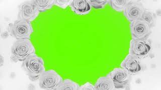 Wedding white flowers Slides green screen, template love chroma key casamento, valentines