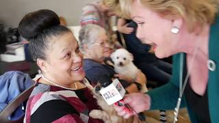 Brenda adopts a puppy mill rescue named Willow