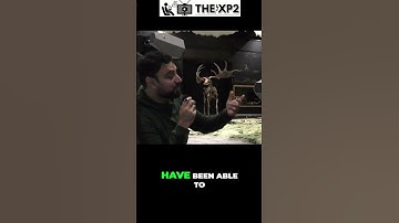 Gigantopithecus: What Killed The Biggest Ape That Ever Lived? Trees?