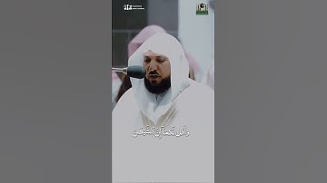 وناداهما ربهما ألم انهكما عن تلكما الشجرة💔 القارئ #ماهر_المعيقلي #قران_كريم #قرآن