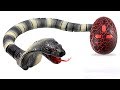 Unpacking RC Snake Toy black