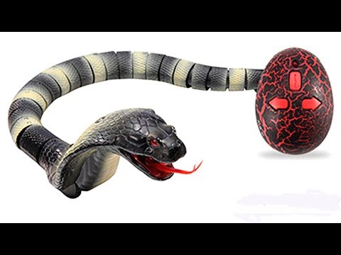 RC Snake Unboxing & Testing - Chatpat toy tv 