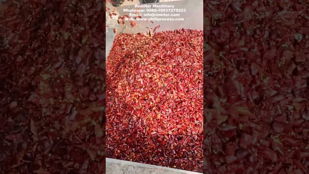 Dry Chili Cutting Machine with Seeds Separator