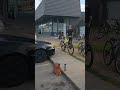 1ST AMENDMENT AUDIT 🔥 VERN 🔥 RANTS 🔥 KNOW WHAT I MEAN 🔥