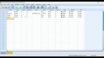 Introduction to SPSS Data Entry (Urdu/Hindi)