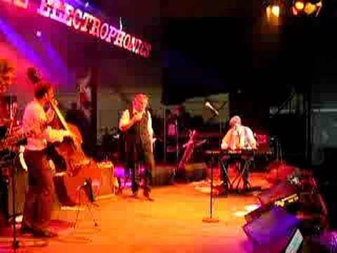 The Electrophonics BRBF Peer 2008