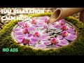Zen Orchid Oasis: Relaxing Water Sounds & Beautiful Flowers