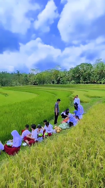 Viral !!! Anak SD Makan Bersama di Sawah #shorts #fyp #trending