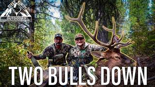 REISSUE - TWO BULLS DOWN - 2022 Idaho Archery Elk Season